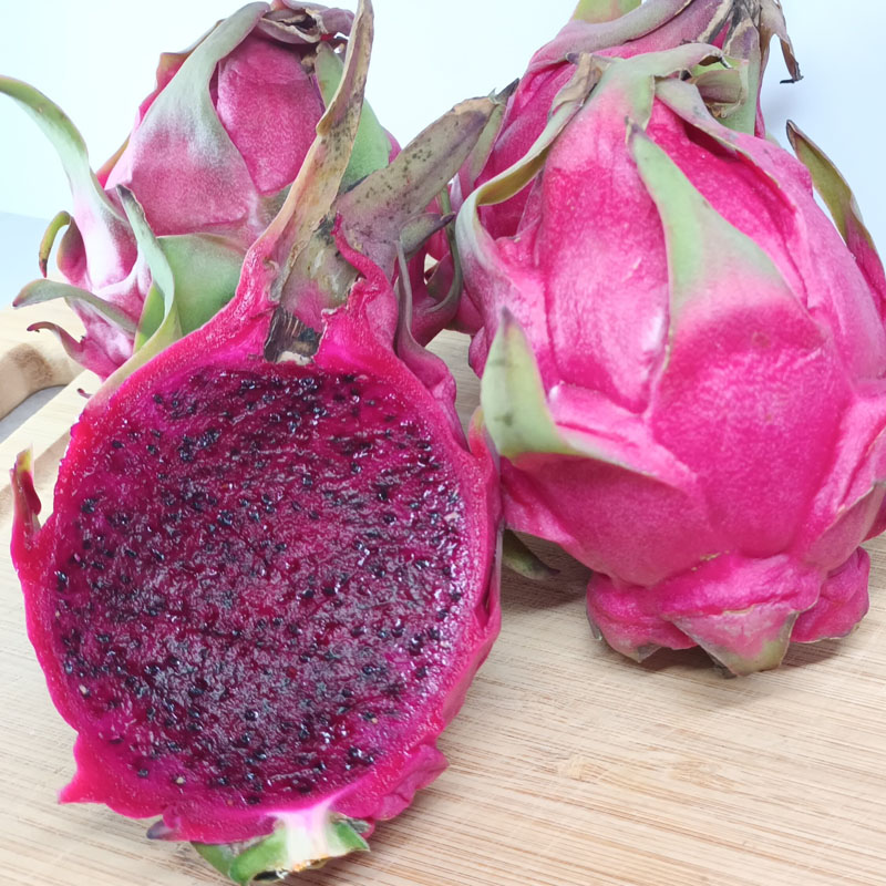 人氣商品-火龍果